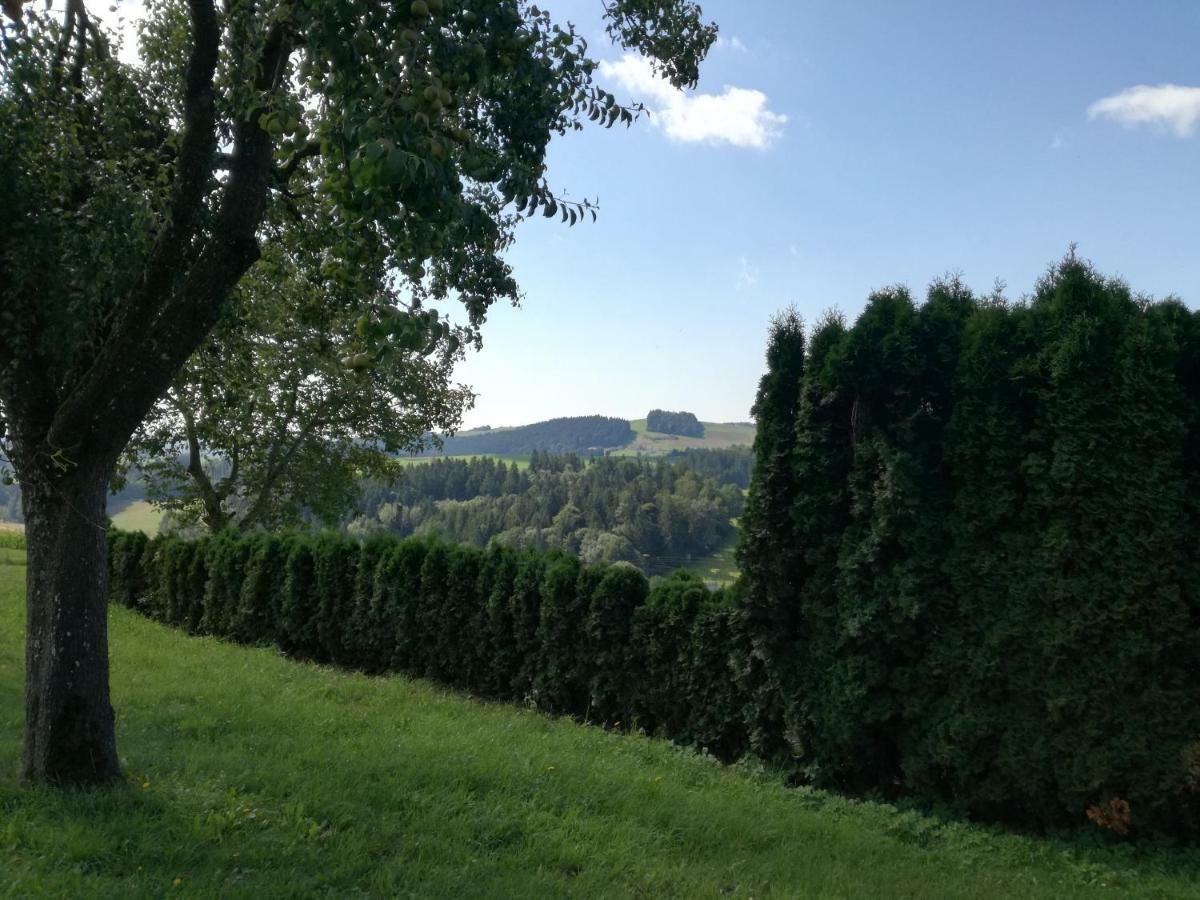 Jenny Villa Lembach im Muhlkreis Bagian luar foto