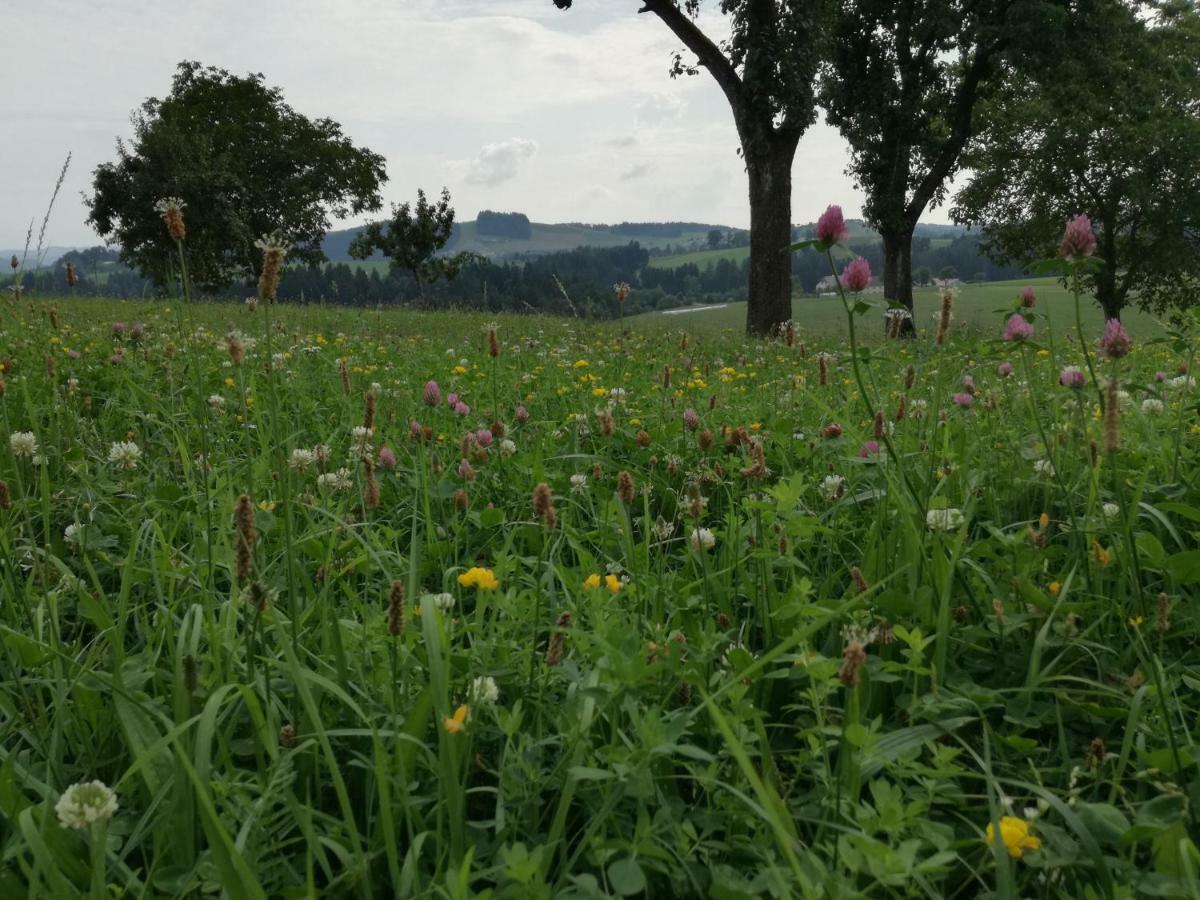 Jenny Villa Lembach im Muhlkreis Bagian luar foto